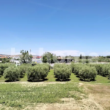 Appartement Per Vacanze 