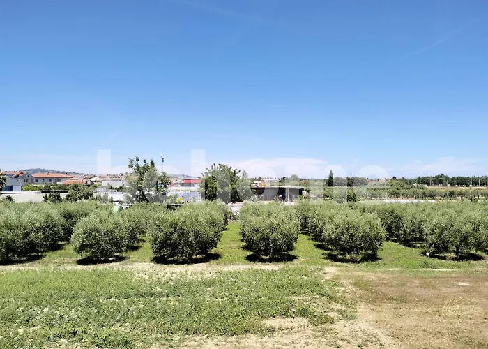 Apartment Per Vacanze 